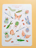 stickers-autocollants-insectes-papillons-libellules-scarabes-caccinelles