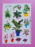 stickers-autocollants-plantes-vertes-kawaii